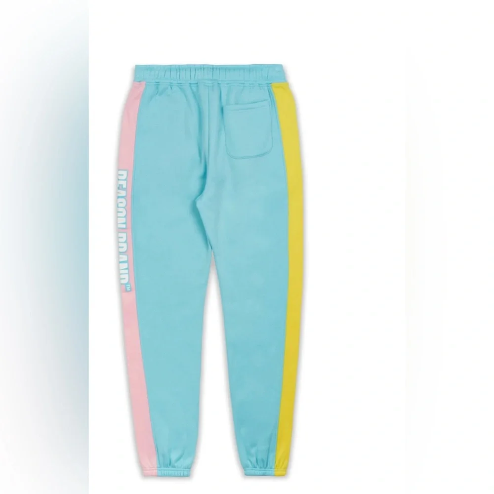 5/$15 REASON Blocked Pastel Logo Jogger